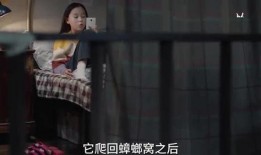 晨熙姐姐爆料视频播放在线观看